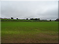 Young crop field off Chepstow Road, Llanbeder