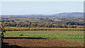 Shropshire farmland north-east of Alveley