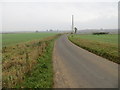 SE3752 : Ribston Road between Little Ribston and Spofforth by Peter Wood