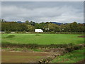 Field near the M48 Motorway