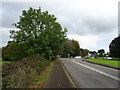 A48 approaching Highbeech Roundabout