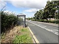 Bus stop for the hospital