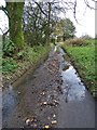 A wet Wetley Lane south of Onecote