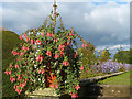 SJ2106 : Fuchsia, Powis Castle gardens by Robin Drayton