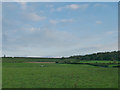 Fields at Crackmore Farm