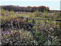 Greenslate Water Meadows