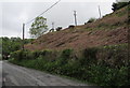 Steep bank above Heol Giedd, Cwmgiedd, Powys