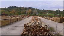 SO7119 : Forest Products timber yard by Jonathan Billinger