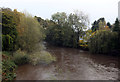 River Nidd seen from the Low Bridge, Knaresborough