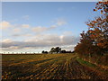 Harrowed field near Widmerpool Station