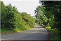 Summerley Road towards Apperknowle