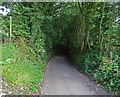 Windmill Lane towards Old Whittington