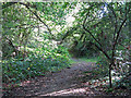 Footpath west of Kewferry Road