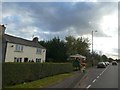 Flower stall in lay-by by A56, Bowdon