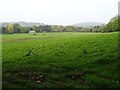 Farmland at Upton St Leonards