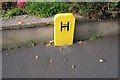 SK9211 : Fire Hydrant Sign by Bob Harvey