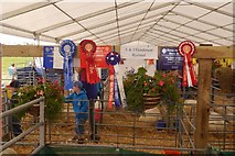 NT1472 : Cards and rosettes, Royal Highland Show by Richard Webb