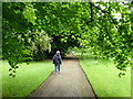 Footpath in Corsham Park