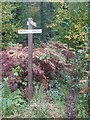 ST4564 : Congresbury Estate signpost by Neil Owen