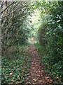 Footpath off Wrington Hill