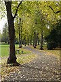 Tree-lined path through Bournville Park