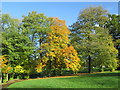 Autumn colours in Brough Park, Leek