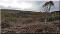 NY6758 : The view to Lambley Viaduct from recently felled Hag Wood by Clive Nicholson