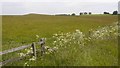 Field near Ferneyrigg