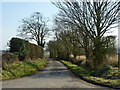 Lane to Ridley Hall