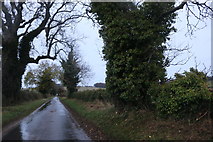 SP0323 : Lane in Charlton Abbots by David Howard