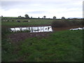 Stream and grazing near Lady Meadow Farm