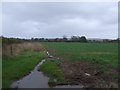 Crop field near Bilbury Farm