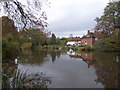 The Old Mill Pond, Wateringbury