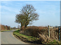 Start of footpath off Blackley Lane