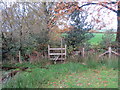 Llwybr Ffarm Whitlera / Whitlera Farm Path