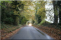 SP0220 : Road through the woods in Sevenhampton by David Howard