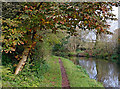 Staffordshire and Worcestershire Canal near Lower Penn, Staffordshire