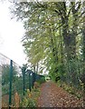 J1515 : The Omeath-Carlingford Greenway  running between the Tain Adventre Centre Site and the R173 by Eric Jones