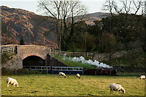 SD1399 : Late Afternoon at Irton Road by Peter Trimming