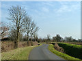 Lane towards Willows Green