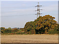 Autumn fields and pylon near Castlecroft, Wolverhampton