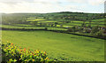 Chinnock Brook valley