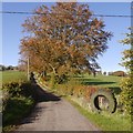 Road to Langlees Farm