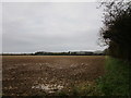 Waterlogged field, Wilsford Heath