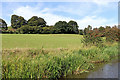 Canalside pasture south-east of Cheddleton in Staffordshire