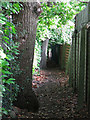 Footpath north of Ravenswood Park