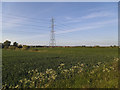 Pylon near Methley