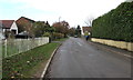 School Lane between railings and hedge, Whitminster