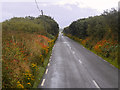 Q4103 : Slea Head Drive near to Knockavrogeen by David Dixon