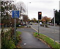 End of cycle route sign, Northern Avenue, Cardiff